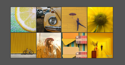 Collage featuring the colour yellow. For example: a cut lemon, a lady standing in a field of wheat and a yellow flower.